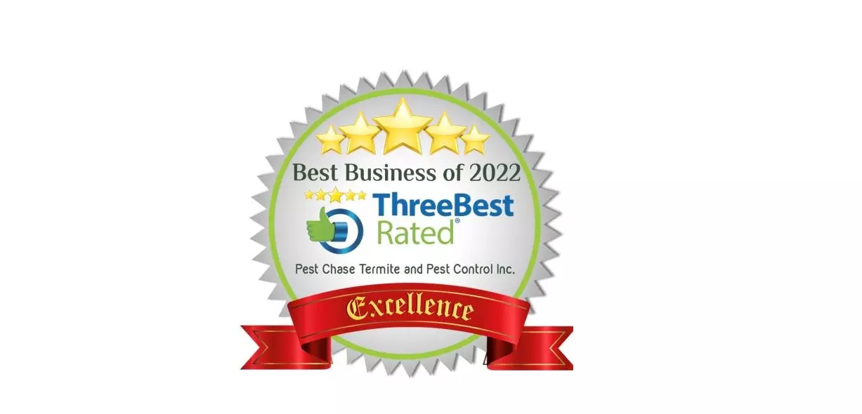 Best Pest Control Company in Alexandria