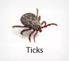 Pest Chase provides flea and tick control