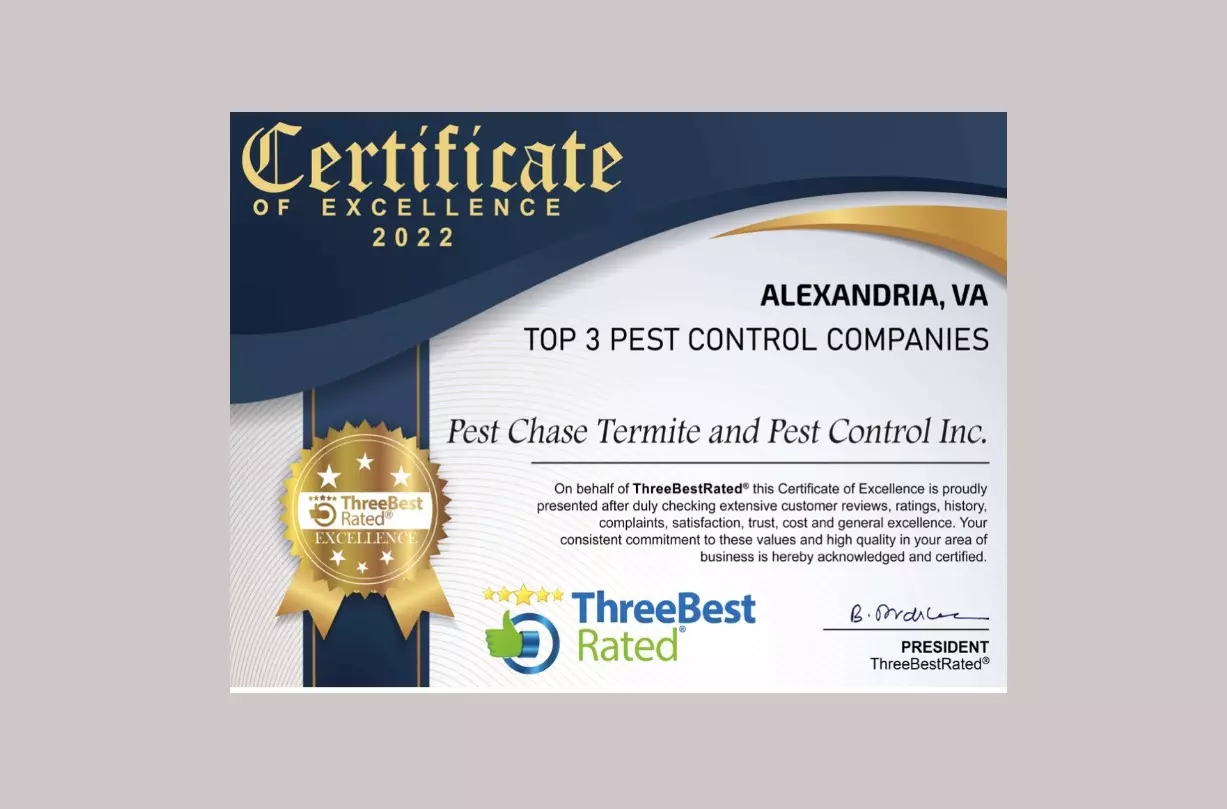 Pest Chase Awarded Top Rated Pest Control Company in Alexandria