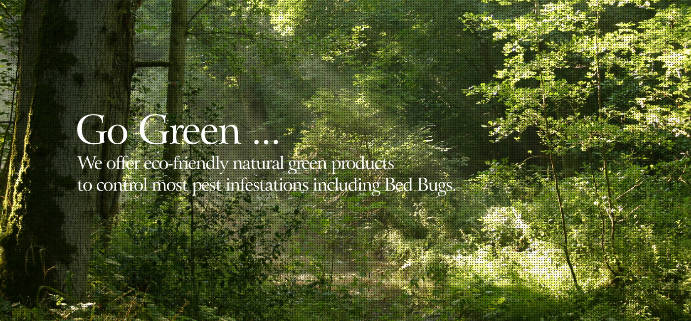 Green Pest Control Alexandria