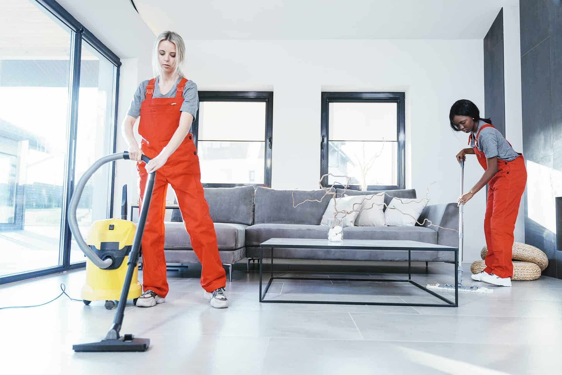 Comprehensive Guide to Termite Control in Alexandria, VA 1 Comprehensive Guide To Termite Control In Alexandria Va - Pest Chase