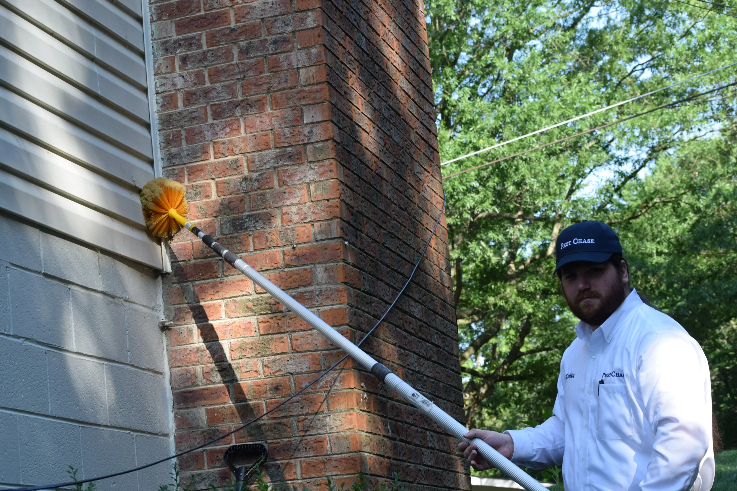 DIY Solutions for Bed Bug Problems in Alexandria, VA 1 Diy Solutions For Bed Bug Problems In Alexandria Va - Pest Chase