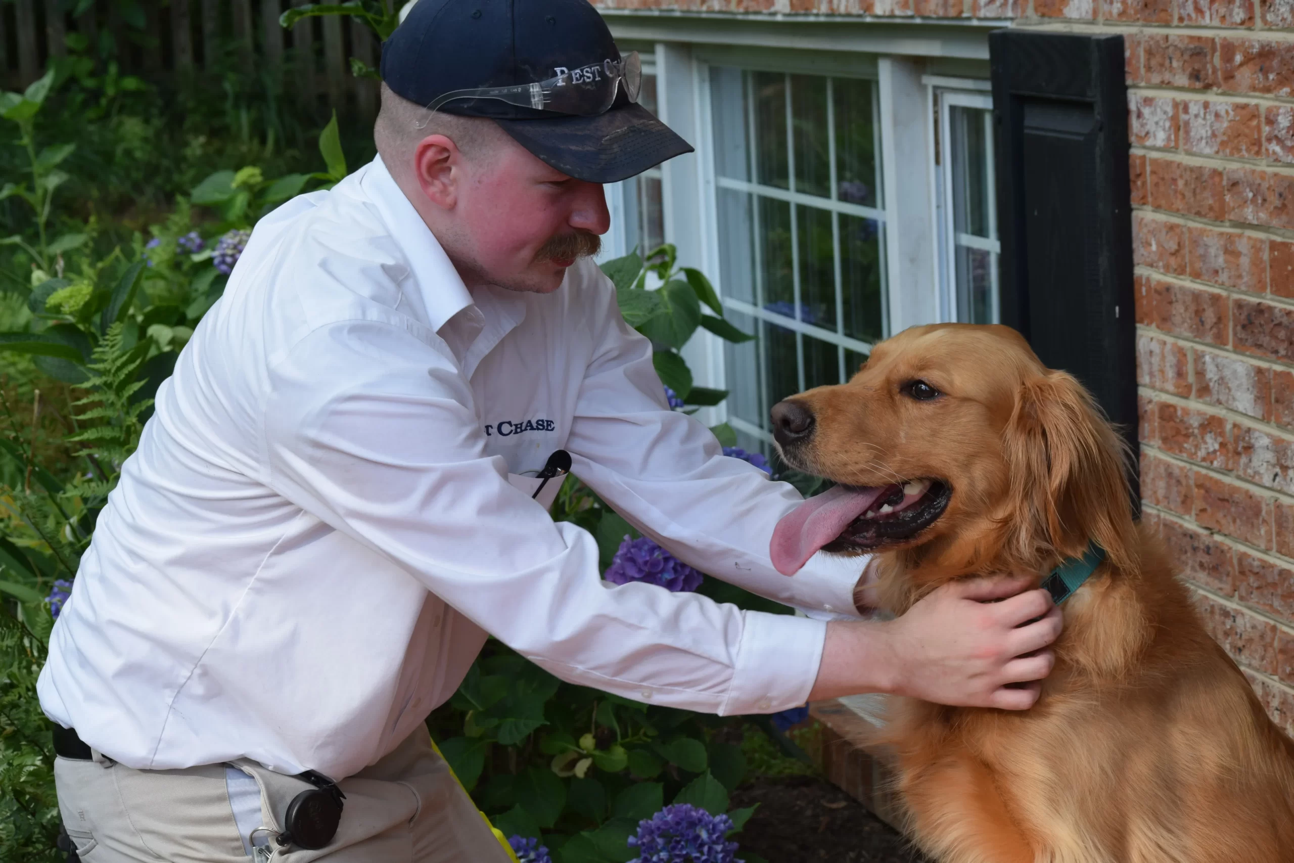 Home 1 Pest control technician in uniform and baseball cap petting a happy golden retriever near a brick house in Rose Hill.