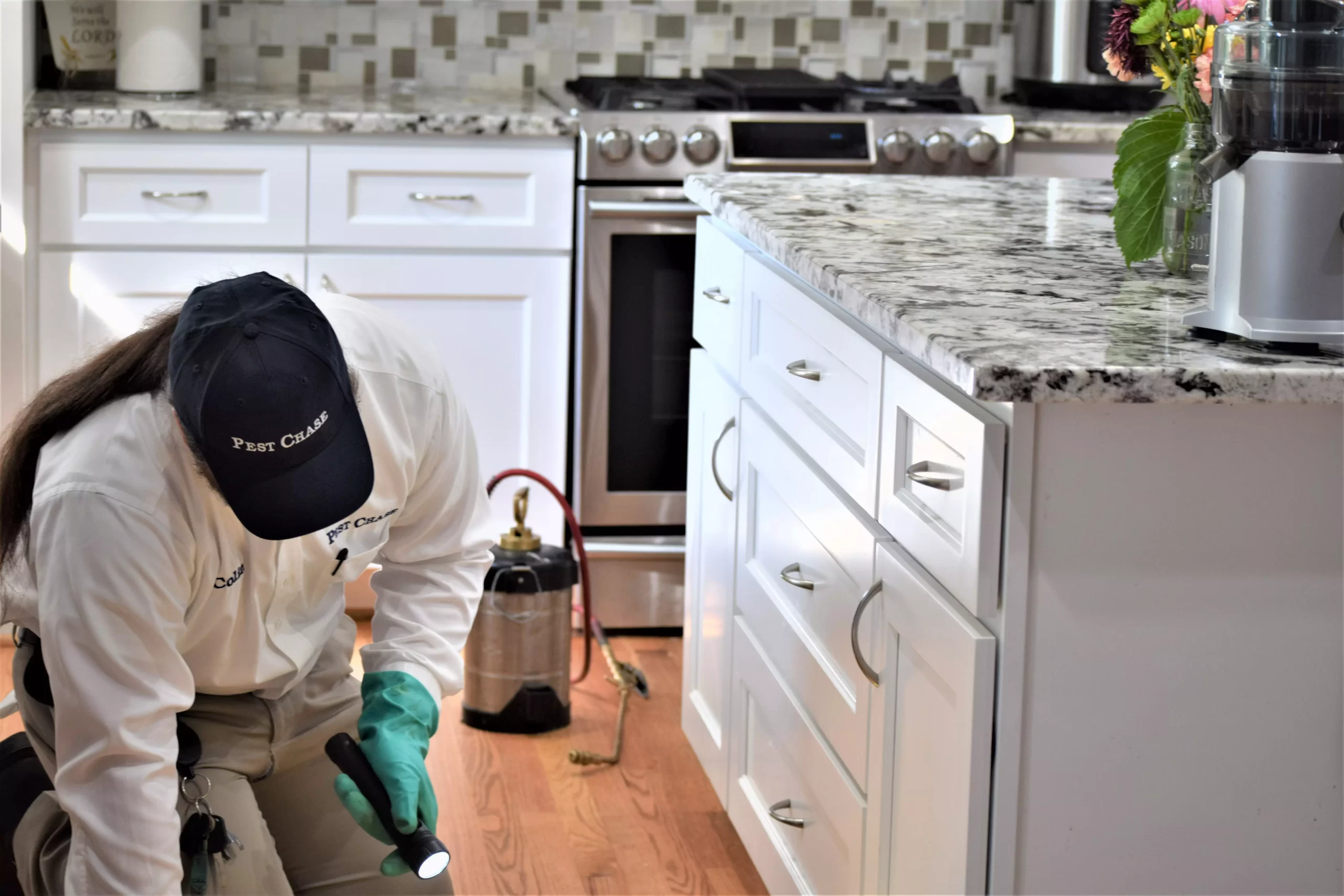 How to Create Effective Homemade Traps for Ants and Other Insects in Alexandria, VA 1 Creating Homemade Traps For Ants And Other Insects In Alexandria Va - Pest Chase