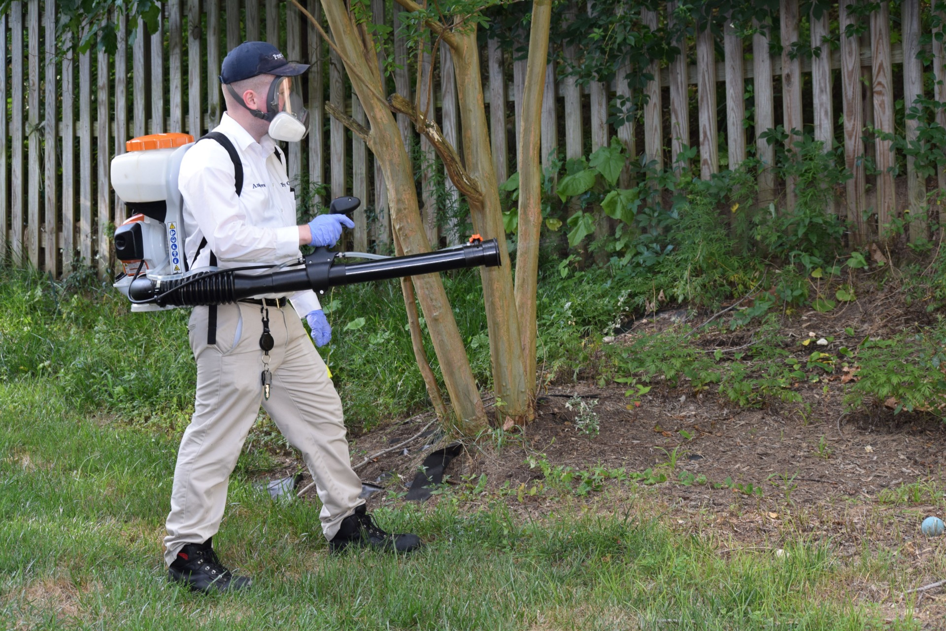 Effective Mosquito Control and Extermination Services in Alexandria VA 1 Mosquito control in Alexandria, VA