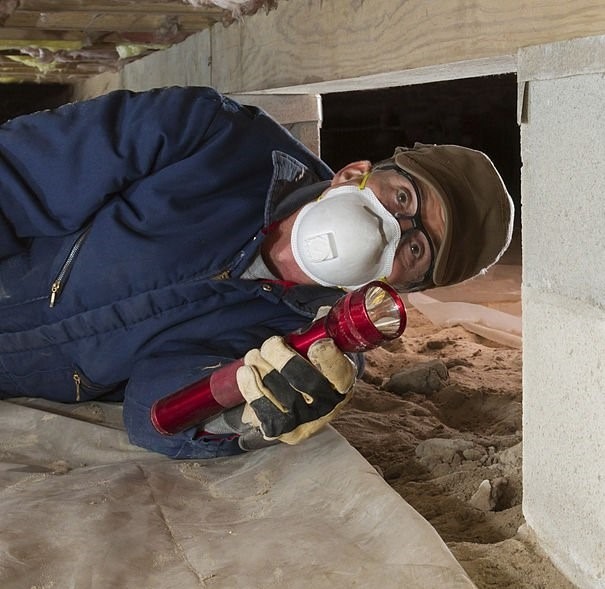 Crawl Space Pest Control in Alexandria VA 2 WhatsApp Image 2026 10 28 at 03.42.45